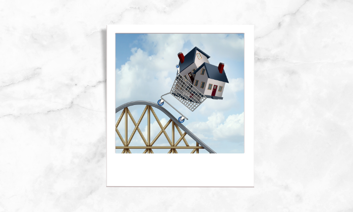 Photo of two house blocks riding a shopping cart in a roller coaster