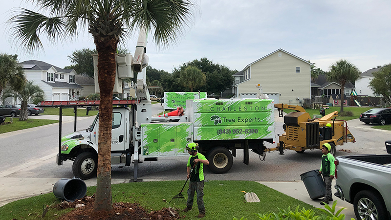 charleston home undergoing tree maintenance