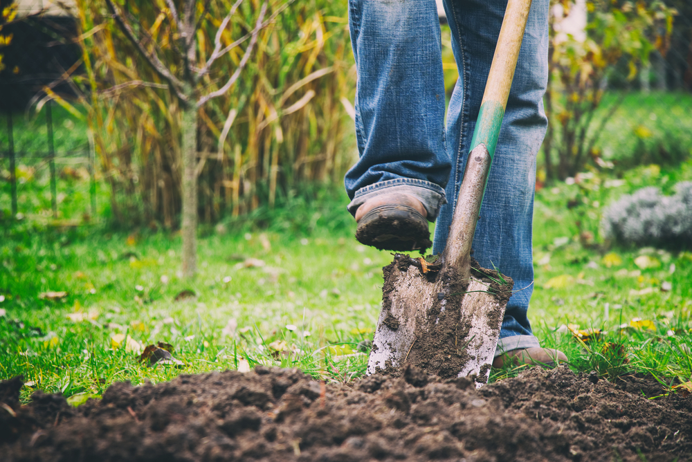 Digging