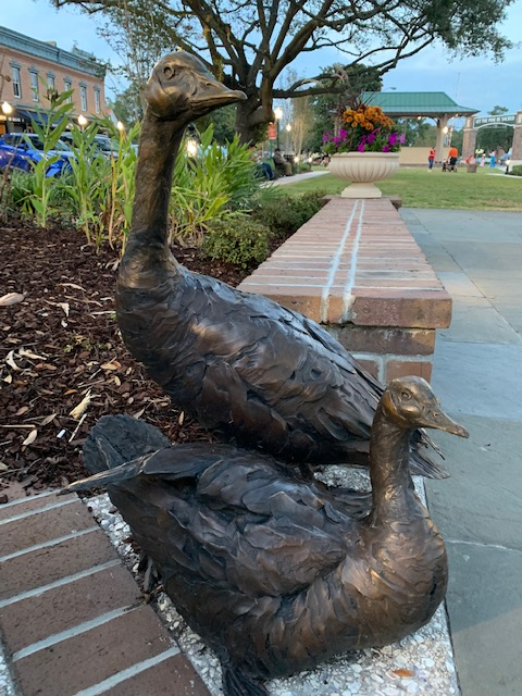 Geese on the Square