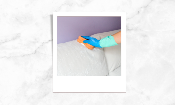 Photo of a person cleaning the sofa