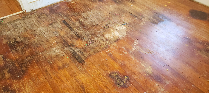 How does water damage affect wood?