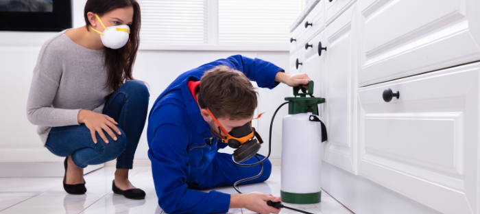 Get a thorough inspection of the house, including pest control and wiring checks.