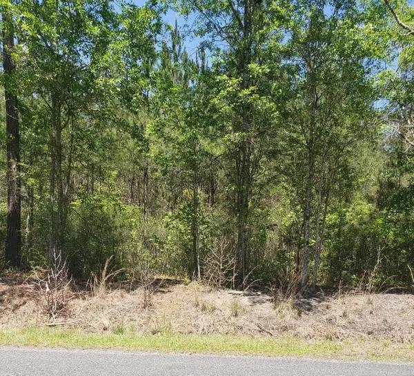 Summerville SC Land for Sale $225,000,AgentOwned Realty