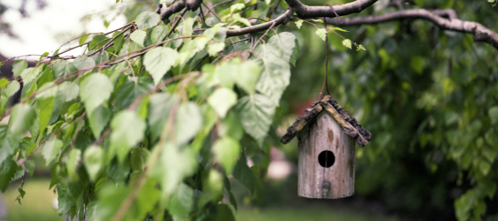 Chimes, feeders, and ambience