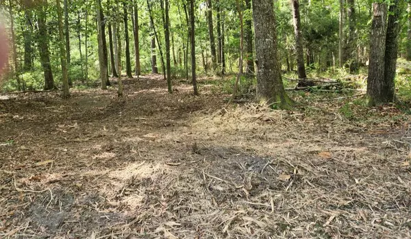 Adams Run SC Land for Sale $129,000,AgentOwned Realty