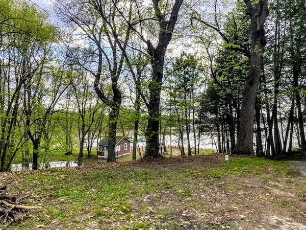Wooded/Walkout Lot on South Lindstrom Lake,Chuck Carstensen