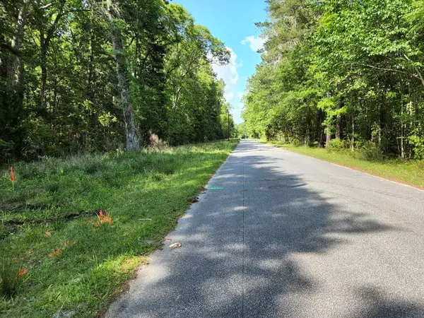 Adams Run SC Land for Sale $119,000,AgentOwned Realty