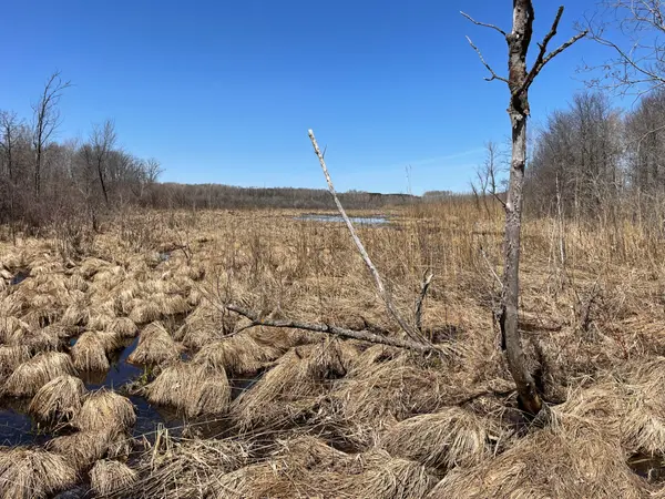 Acreage in Staples -80 acres to Hunt/Build/Recreation,Chuck Carstensen