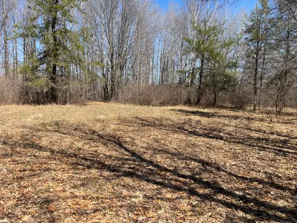 42.17 Acres Hunting/Building Land in Staples,Chuck Carstensen