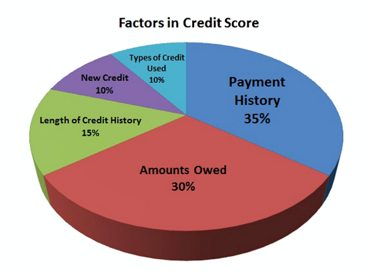 Factors in Credit Score