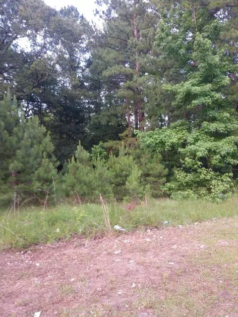 Holly Hill SC Land for Sale $45,000,AgentOwned Realty