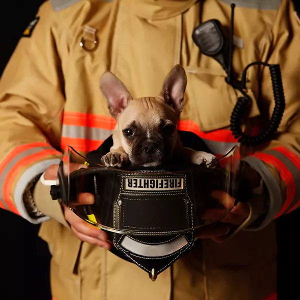 Is Your Home Fire Safe for Your Pet?,Bob Lucido Team