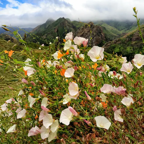 Wild landscapes of Malibu revealed!,Demi Fox
