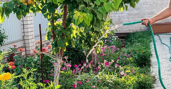 Tips to keep your garden alive while you are away on vacation.,Billee Silva, PA, ABR SRS