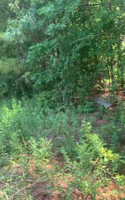 Mount Pleasant SC Land for Sale $139,000,AgentOwned Realty