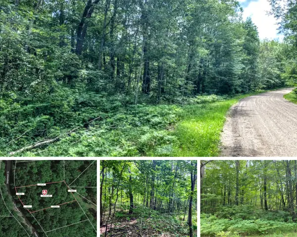 Wooded Half Acre Lot Near Mille Lacs Lake,Chuck Carstensen