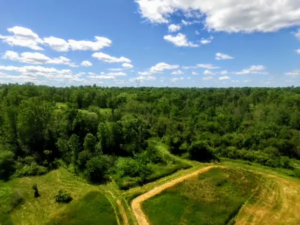 40 Acres Hunting Land in Willow River,Chuck Carstensen