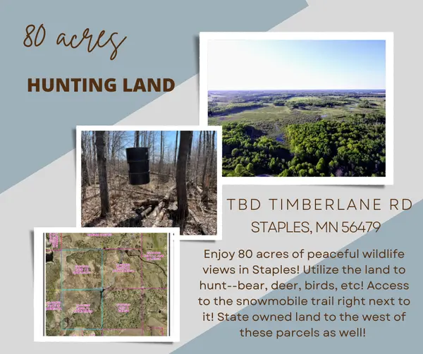 80 Acres in Staple - Fantastic Hunting Land,Chuck Carstensen