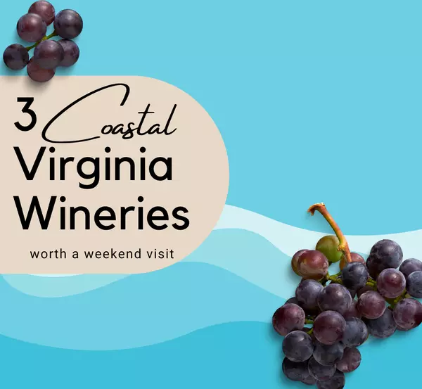 3 Virginia Wineries to Visit This Weekend