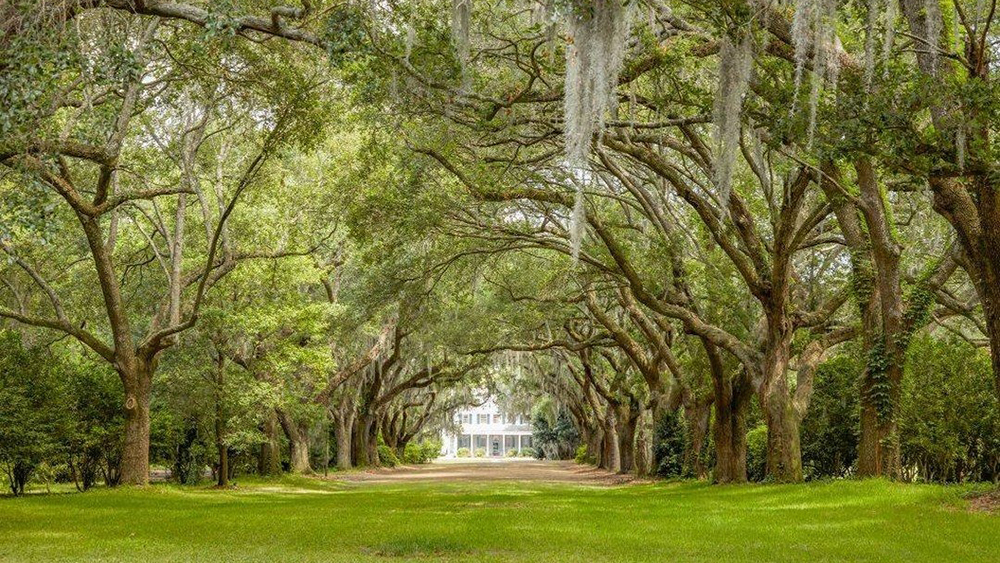 charles towne landing home