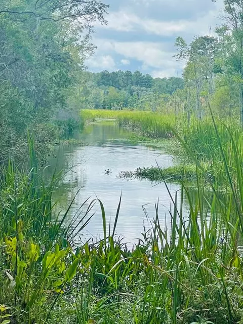 Moncks Corner SC Land for Sale $350,000,AgentOwned Realty