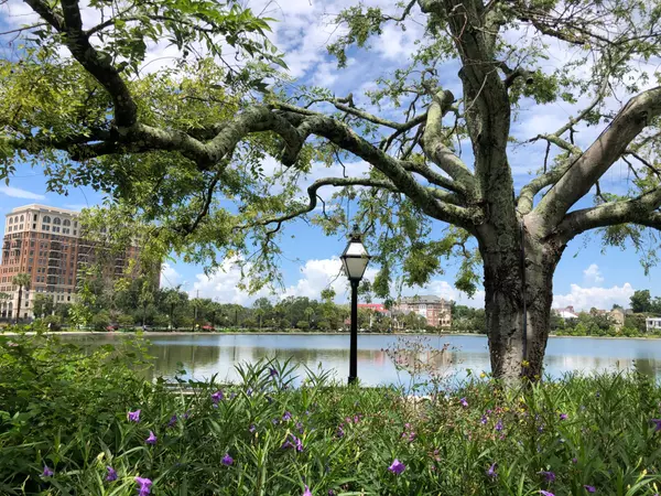 About Harleston Village in Charleston, SC,Ashley Melton
