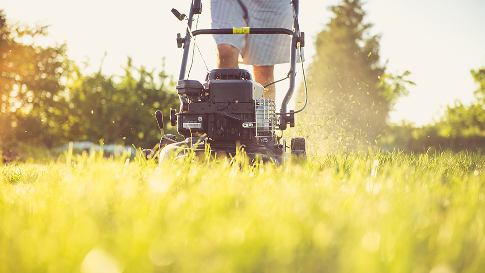 man in shorts mowing a lawn