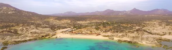 Cabo’s Wild Side – Los Arbolitos Beach,REmexico Real Estate