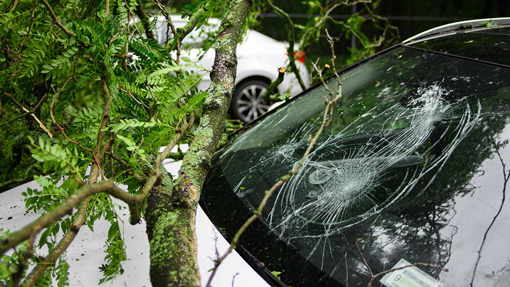 storm damage to car