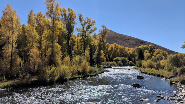 Fall Fly Fishing,Jen Stein