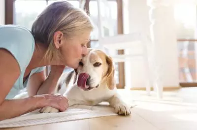 Why Pet-Friendly Homes Are in High Demand,Susan Gardner