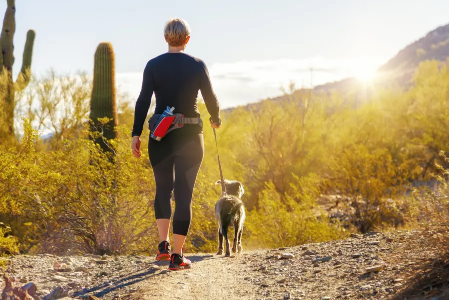Ahwatukee Foothills