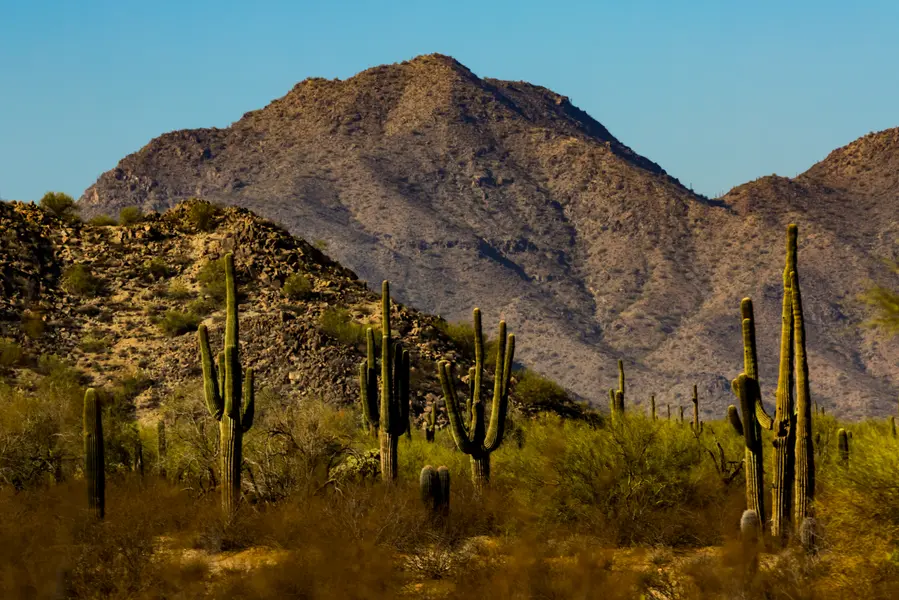 Queen Creek