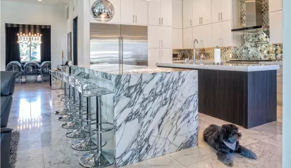 How to Puppy Proof your Luxury Home,Terry Kruse