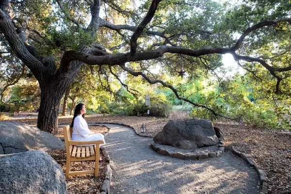 Wellness in the Wild: Denver's Holistic Retreats and Health Havens in 2023,Lewi Gault