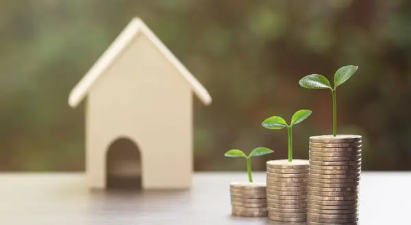 Building Wealth Through Homeownership,James Lynch
