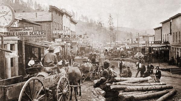 Dahlonega Gold Rush Days Festival: A Complete Guide to History, Attractions, and Tips,Nicole Van Den Bergh