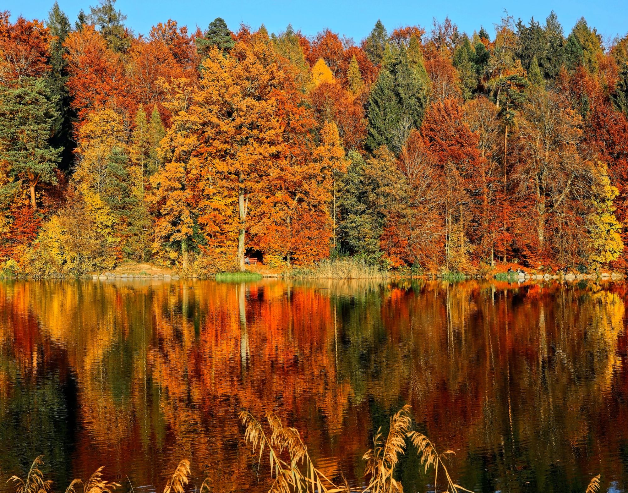 Fall with Lake