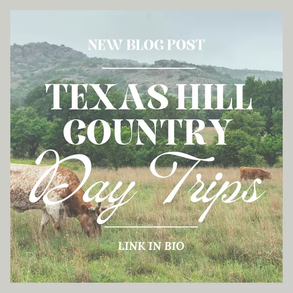 feature image of TEXAS HILL COUNTRY DAY TRIPS