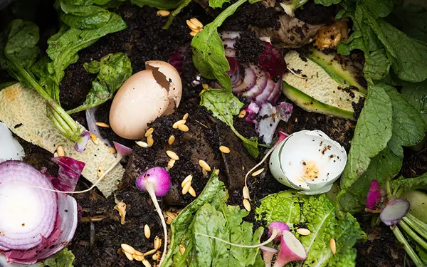 Shop Sustainably - and Save,Tom Carroll