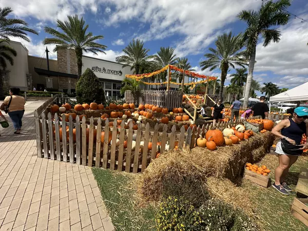 UTC Pumpkin Patch: A Fun Fall Activity for the Whole Family