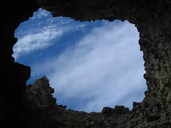 The Connection Between Nature and Physical Health,Dawn Maddux