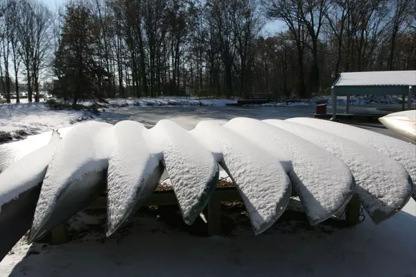 Winter is Coming: How to Safeguard Your Garden from the Cold,Dawn Maddux