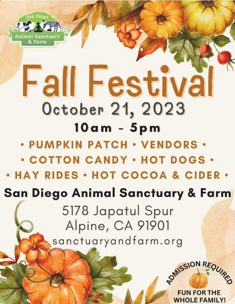 Things to Do in Alpine Fall Festival