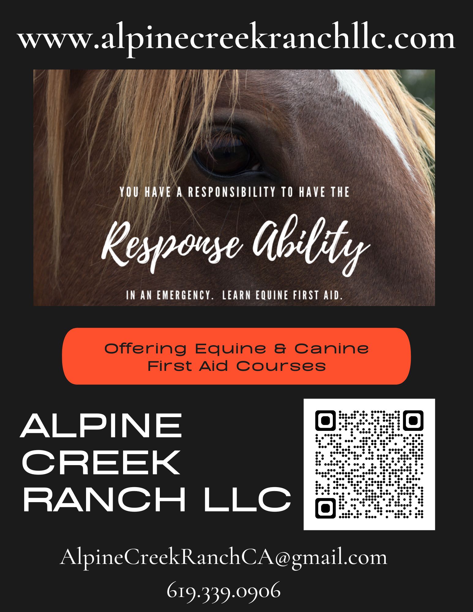 Things to do in Alpine Equine and Canine First Aid Courses