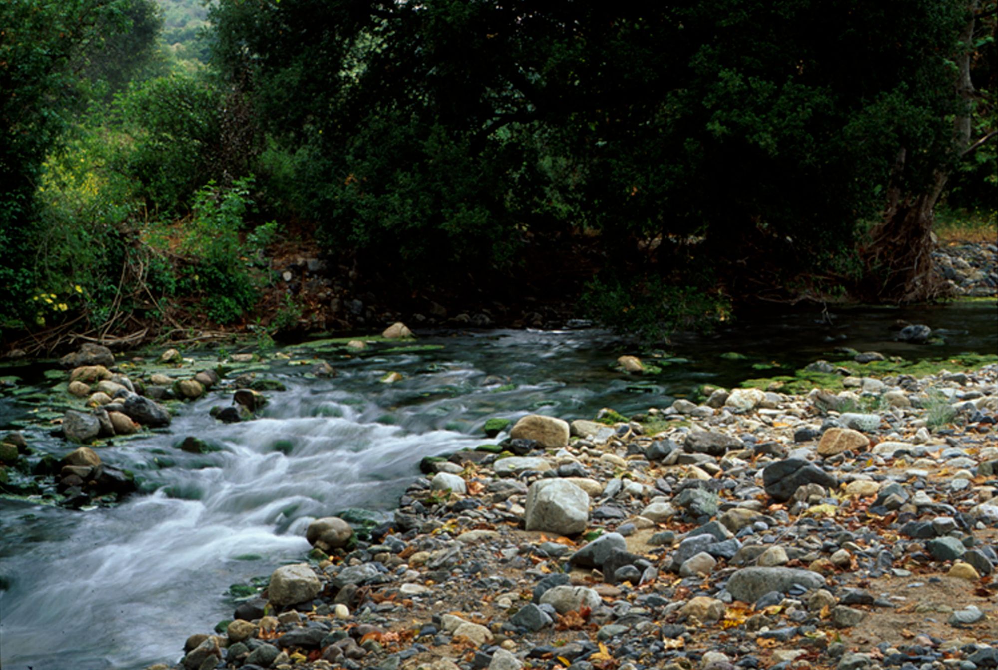 O'Neill Regional Park