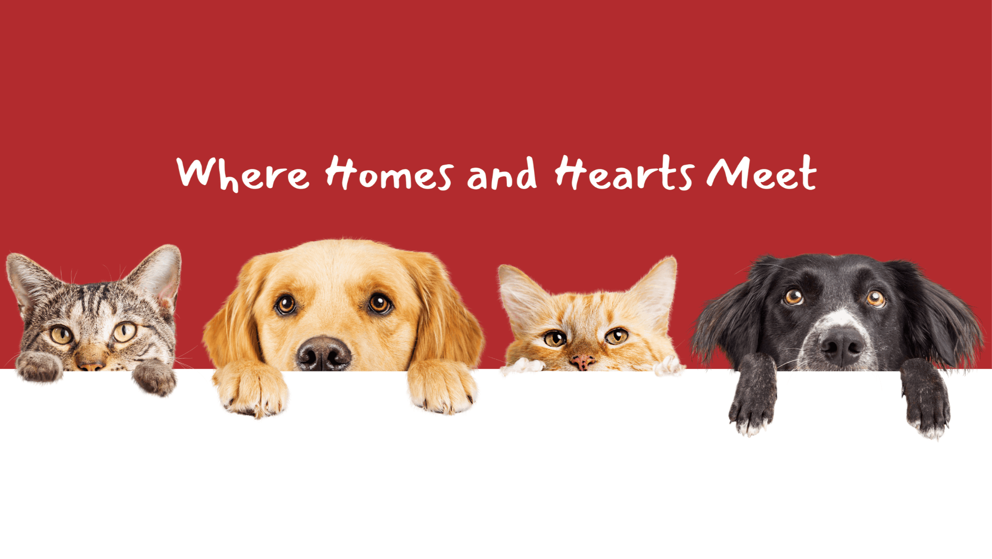 REMAX Furry Friends Where Homes and Hearts Meet (2)