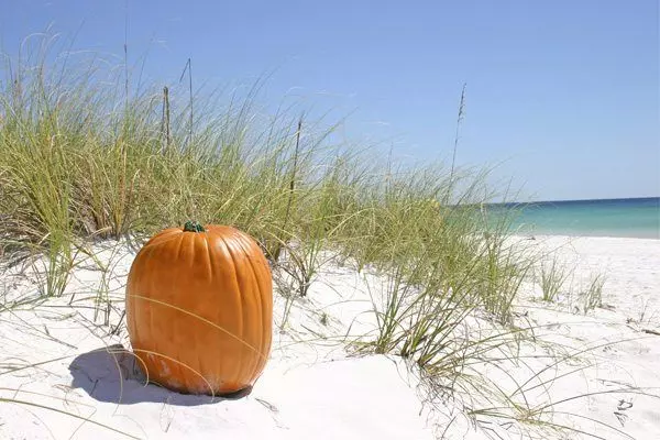 Fall Florida Home Maintenance Checklist