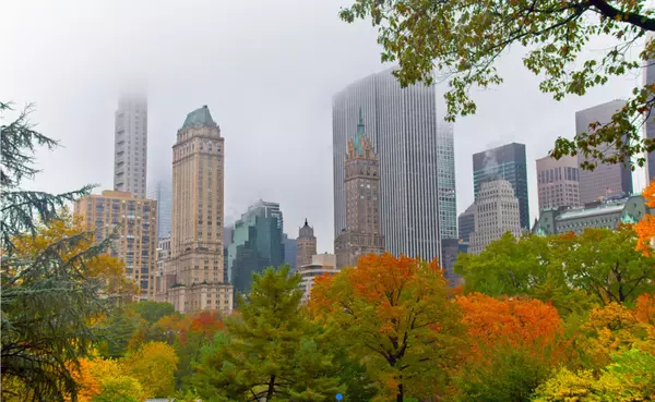 Elegran Manhattan Market Update: October 2023,Elegran | Forbes Global Properties